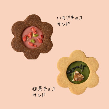 お花のチョコサンドBOX