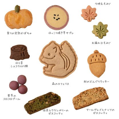 グルテンフリークッキー りすの秋の贈り物